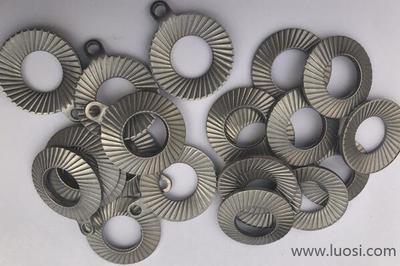 領(lǐng)導(dǎo)關(guān)懷促發(fā)展 廣東省委、陽(yáng)江市委領(lǐng)導(dǎo)蒞臨史特牢金屬緊固件摩托車項(xiàng)目考察指導(dǎo)